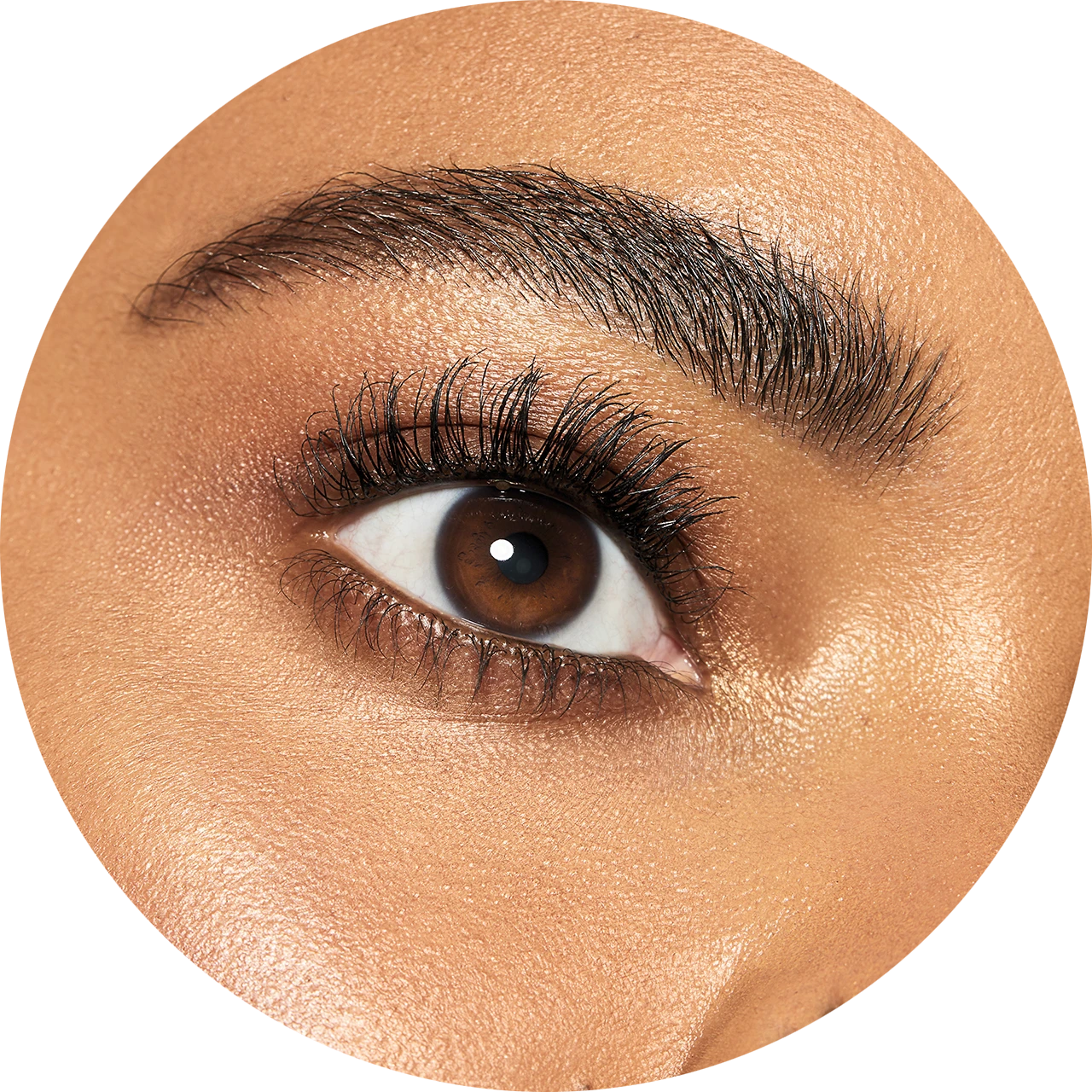 FINE LINER BROW PENCIL NudeFace Chile