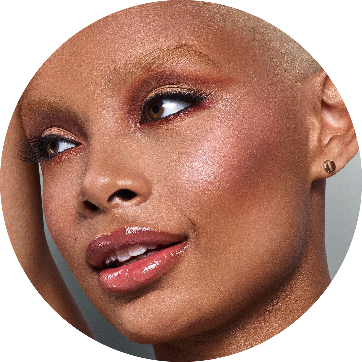 midnight shadows eyeshadow palette NudeFace Chile
